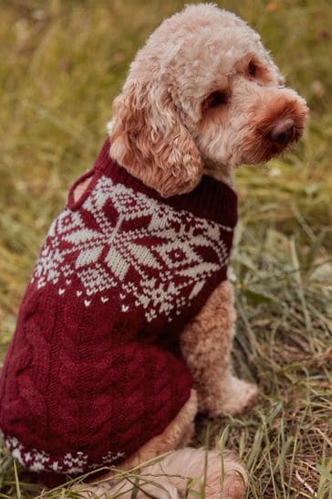 Matching christmas jumper dog clearance