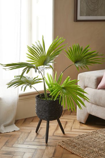 Green Artificial Palm Leaf In Rattan Footed Pot