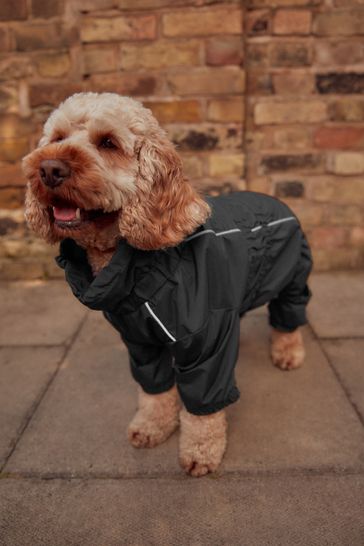 Next dog jacket store