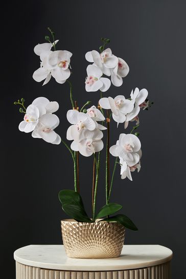 White Artificial Real Touch Orchid in Geo Pot