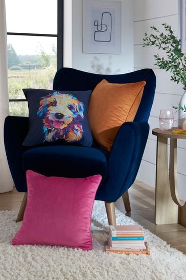 Velvet sales orange cushion