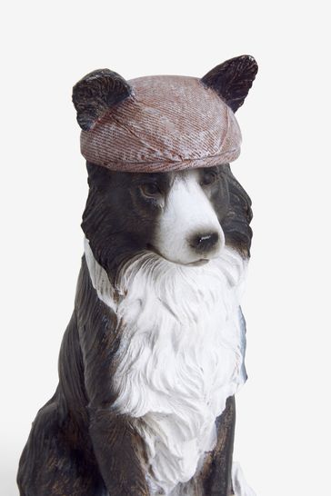 Border collie dressed up sales