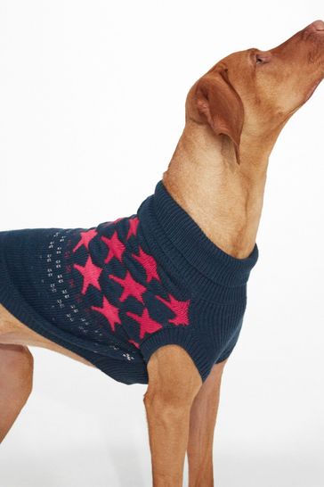 Indigo dog on sale