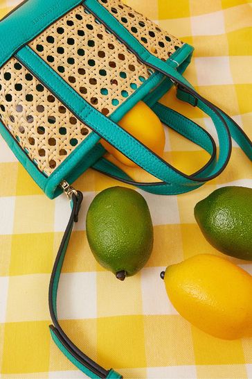 Accessorize lemon sales bag