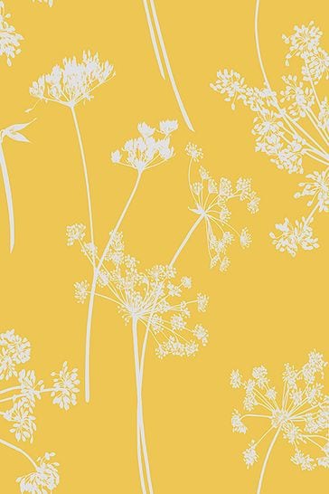 Graham & Brown Yellow Anthriscus Summer Wallpaper