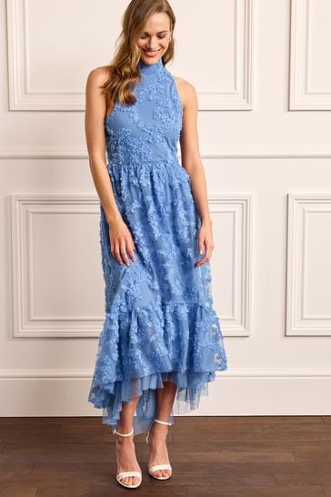 Buy Cornflower Blue 3D Floral Mesh Midi Dress from Next Austria