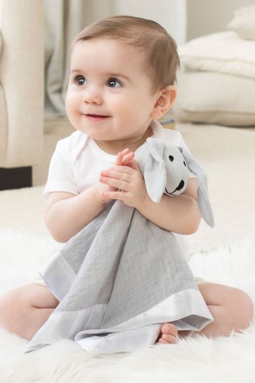 Aden and best sale anais muslin lovey
