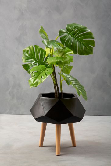 Fifty Five South Black Darnell Planter