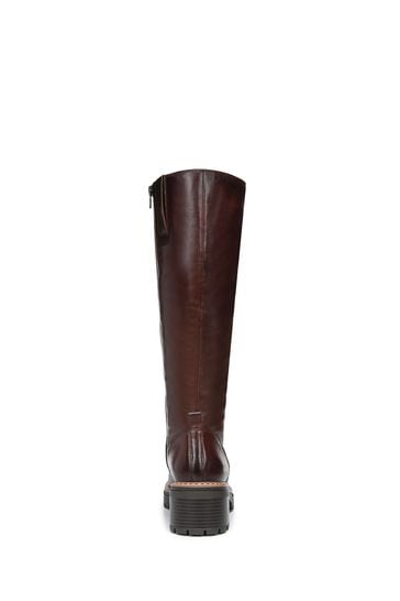 Carvela snail sale
