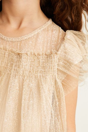 Buy Mint Velvet Gold Sparkle Mesh Occasion Party Dress from Next