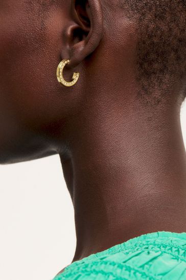 Ted baker hoop sale earrings