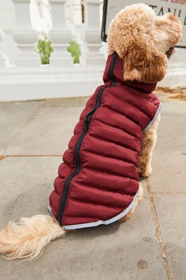 Buy Burgundy Red Orange Packable Reversible Dog Coat from Next Luxembourg