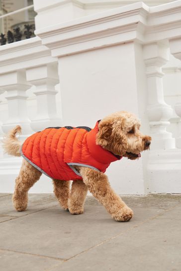 Next dog jacket clearance