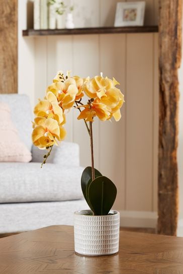 Yellow Artificial Real Touch Orchid In Country Pot