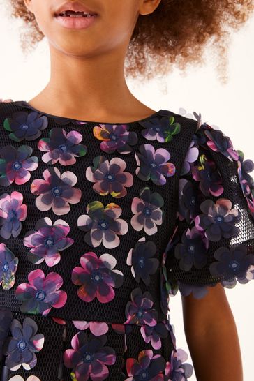Ted baker hot sale dress next