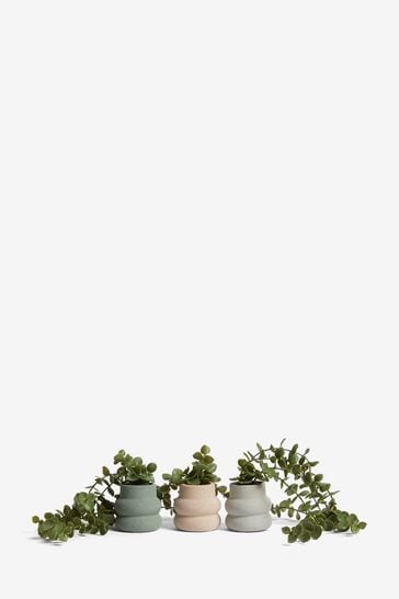 Artificial trailing plants in clearance pots