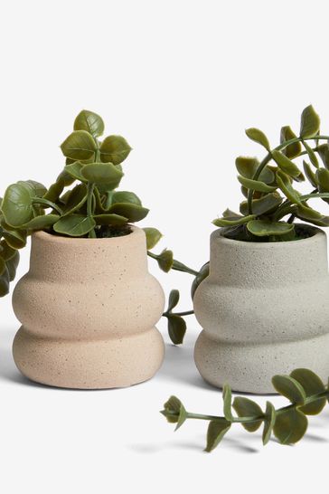 Set of 3 Green Artificial Trailing Plants With Ceramic Pots