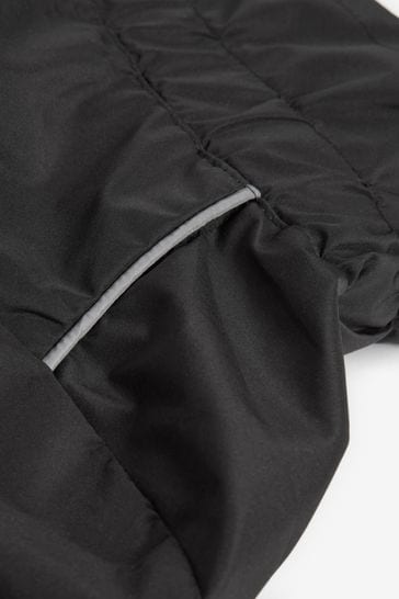 Stone island dog 2025 coat