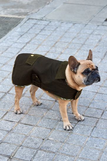 Black Waxed Effect Dog Coat With Khaki Green Corduroy Collar