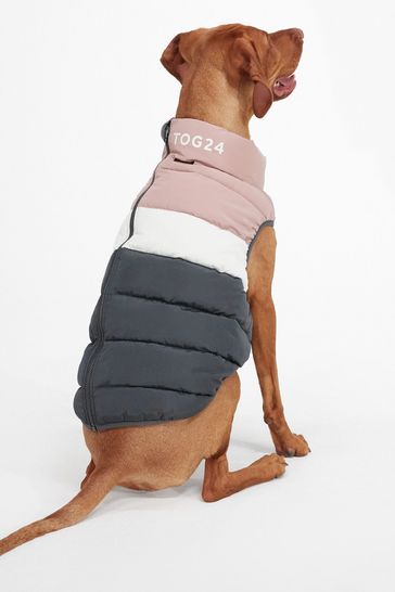 Buy Tog 24 Pink Pooch Panel Padded Dog Jacket from Next Bahrain