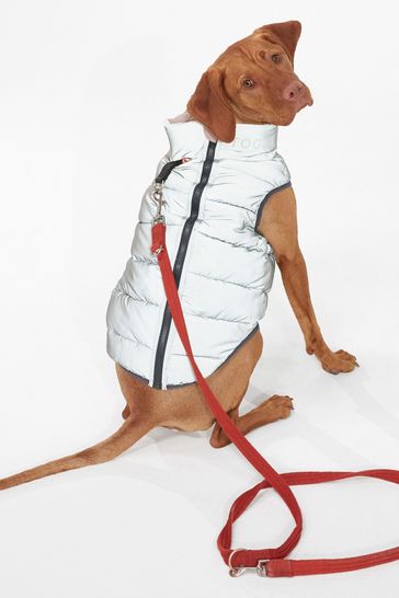 Padded dog sales jacket