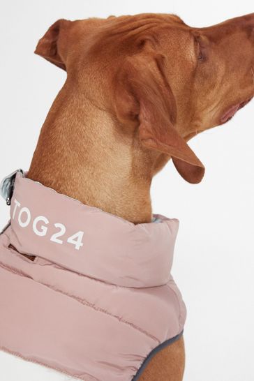 Buy Tog 24 Pink Pooch Panel Padded Dog Jacket from Next Singapore