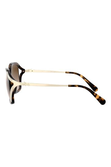 Coach sunglasses new arrivals