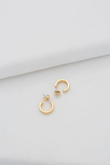 Ted baker small hoop best sale earrings