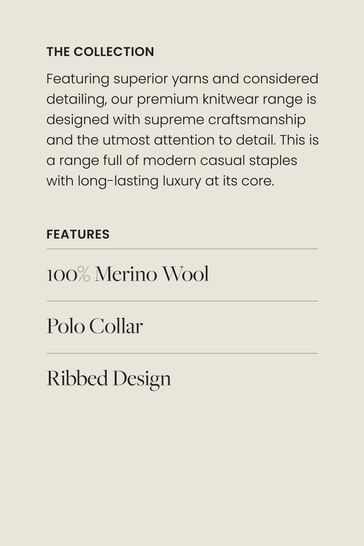 Buy Black Premium Merino Polo Neck Jumper from Next Ireland