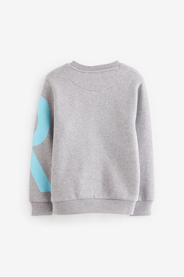 Buy Baker by Ted Baker Grey Letter Sweatshirt from Next Luxembourg