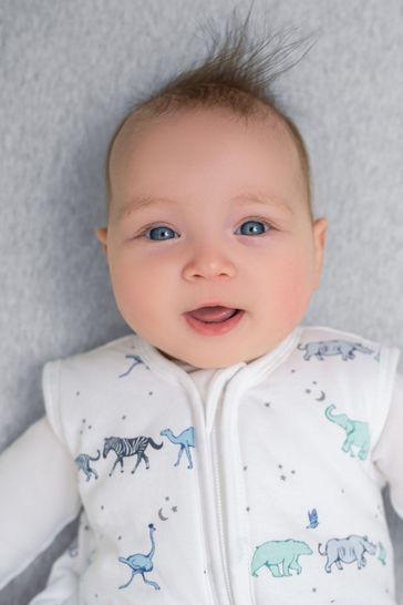 aden anais Winter 2.5 TOG Sleeping Bag