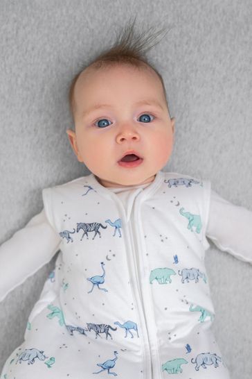 Aden and anais sleeping bag sales 2.5 tog