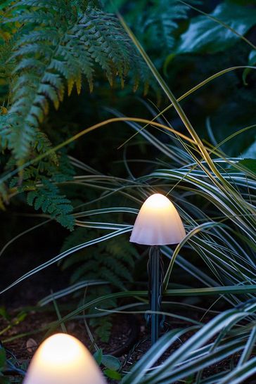 Mushroom outlet solar lights
