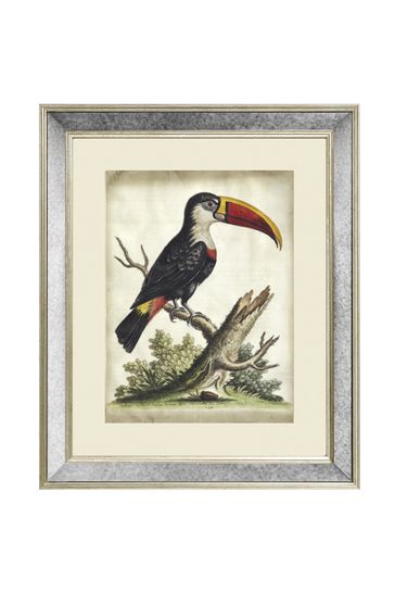 Brookpace Lascelles Cream Toucan Print in Antique Mirrored Frame