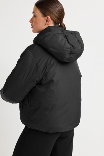Buy Black Short Padded Jacket from Next Ireland