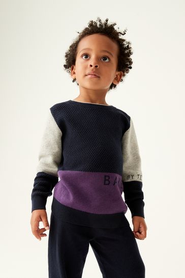 Ted baker deals navy jumper
