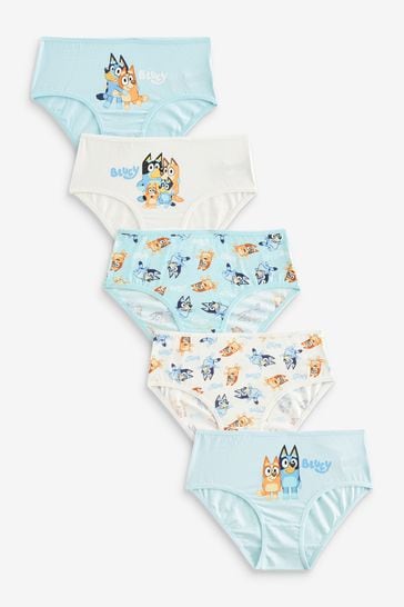 Buy Bluey 5 Pack Bluey Briefs (1.5-8yrs) from Next Canada