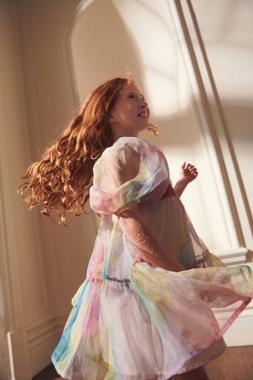 Buy Rainbow Watercolour Tiered Organza Dress 3 16yrs from Next