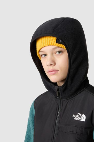 North face borg fleece on sale