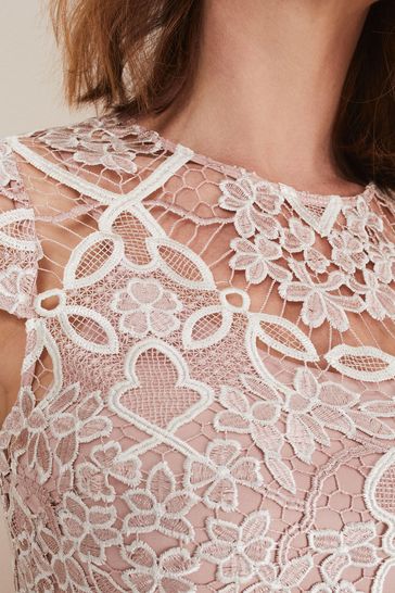 Phase eight sales frances lace dress