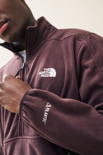 North face fleece brown discount
