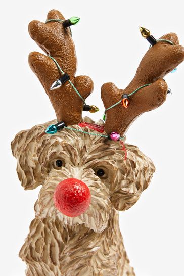 Buy Brown Charlie the Cockapoo Christmas Decoration from Next