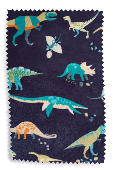 Dinosaur blanket next sales