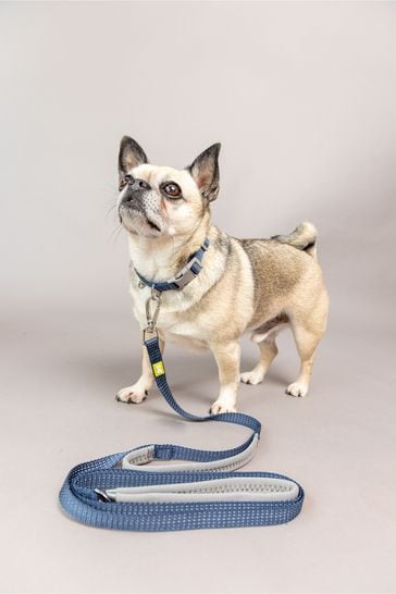 Buy BUILT Blue Pet NightSafe Double Handled Small Dog Lead from