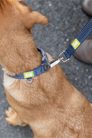 Medium dog shop leash