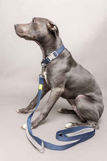 Double handle sales dog leash