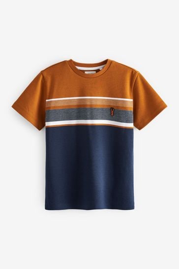 Tan Brown/Navy Blue Colourblock Short Sleeve T-Shirt (3-16yrs)