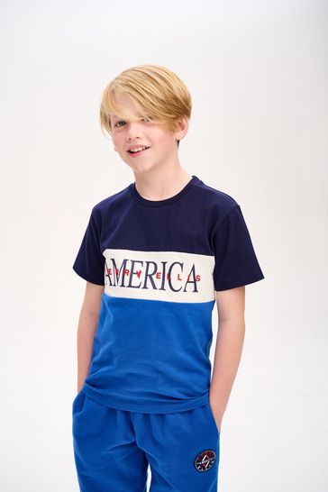 Perry Ellis America Navy Blue Panel Printed T-Shirt