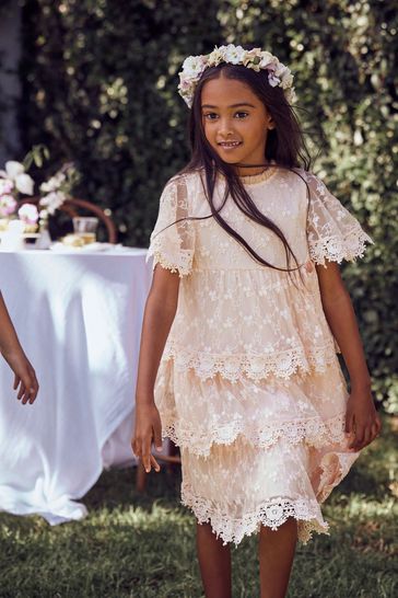 Buy Angel Rocket Pink Annabelle Mesh Lace Embroidered Dress from