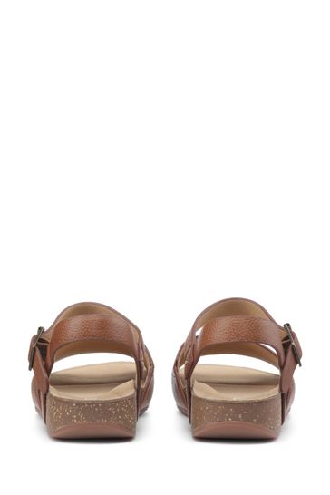 Buy Hotter Conwy Buckle Regular Fit Sandals from Next Netherlands